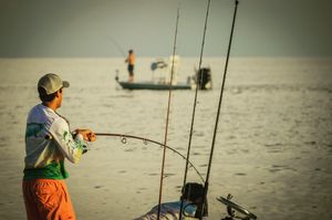 Image post by @visitsarasotacounty on Instagram