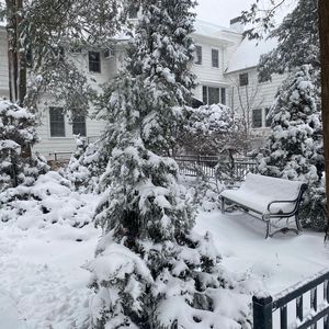 Image post by @hofstrau on Instagram