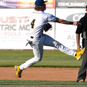 Image post by @burlington_bees on Instagram