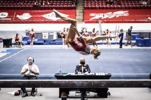 Image post by @bamagymnastics on Instagram