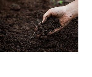 Image post by @GreenhillWormFarm on Facebook
