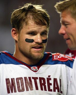 Image post by @mtlalouettes on Instagram