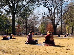 Image post by @uofsc on Instagram