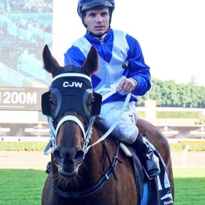 Image post by @australianturfclub on Instagram