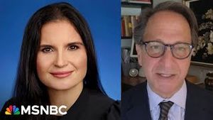 Video post by @msnbc on YouTube