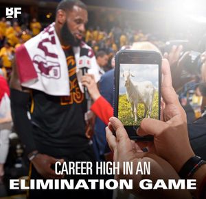 Image post by @basketballforever on Instagram