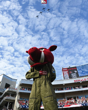 Image post by @razorbackfb on Instagram