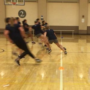 Image post by @yalesoftball on Instagram