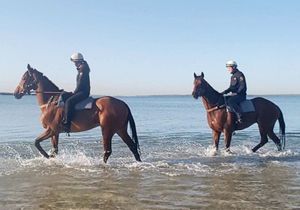 Image post by @australianturfclub on Instagram