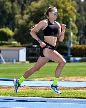 Image post by @steeple_squigs on Instagram