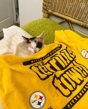 Image post by @steelers_nation_unite on Instagram