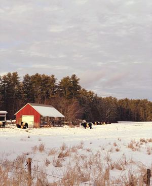 Image post by @themainemag on Instagram