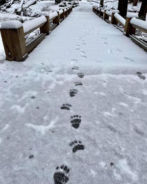 Image post by @nationalparkservice on Instagram