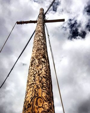 Image post by @mmhammond on Instagram