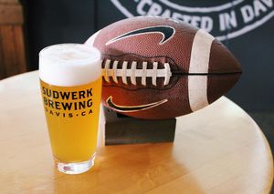 Image post by @sudwerkbrew on Instagram