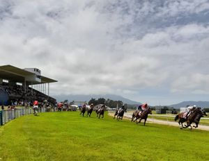 Image post by @NZHorseAmbulanceTrust on Facebook