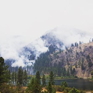 Image post by @discovery on Instagram