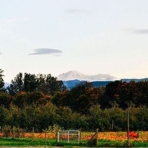 Image post by @tourismabbotsford on Instagram