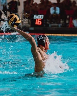 Image post by @lbccaquatics on Instagram