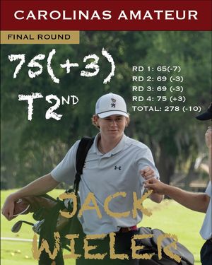 Image post by @elonmgolf on Instagram