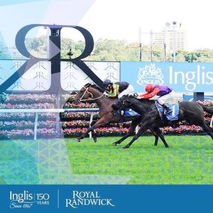 Image post by @australianturfclub on Instagram