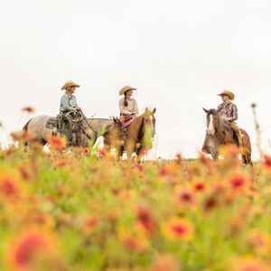 Image post by @justinboots_ on Instagram