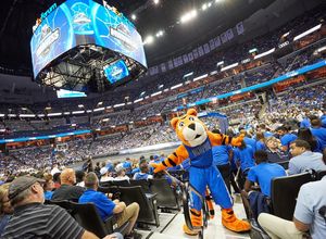 Image post by @uofmemphis on Instagram