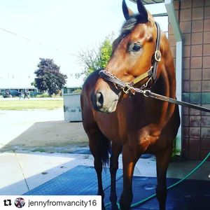 Image post by @margaux.farm on Instagram