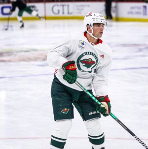 Image post by @minnesotawild on Instagram