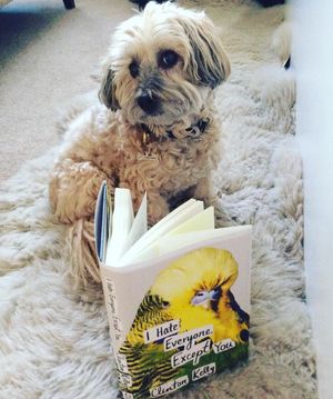Image post by @gallerybooks on Instagram