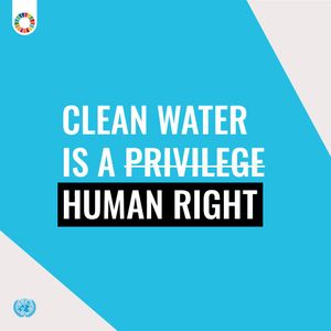 Image post by @unitednations on Instagram