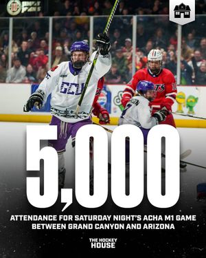 Image post by @hockeyhousepod on Instagram
