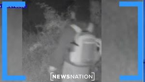Video post by @newsnation on YouTube
