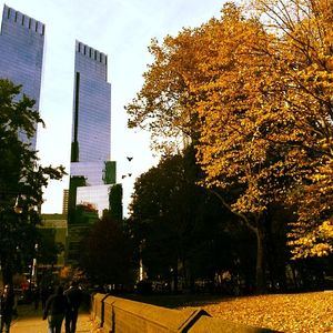 Image post by @nycmarathon on Instagram