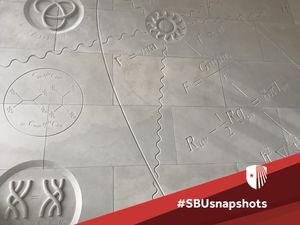 Image post by @stonybrooku on Instagram