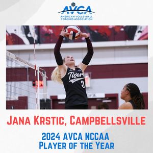 Image post by @avcavolleyball on Instagram