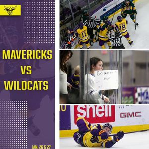 Image post by @minnstmhockey on Instagram