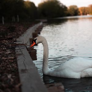 Image post by @dkleasa on Instagram