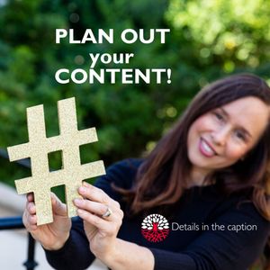 Image post by @redrootmarketing on Instagram
