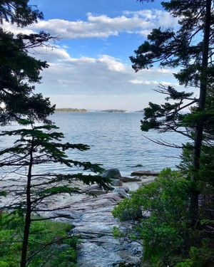 Image post by @themainemag on Instagram