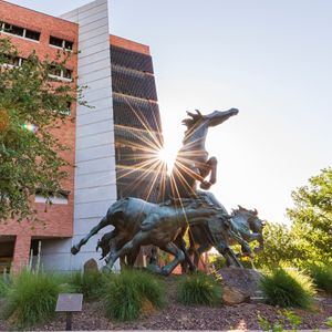 Image post by @arizonastateuniversity on Instagram