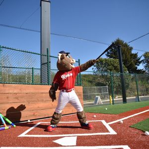 Image post by @tacomarainiers on Instagram