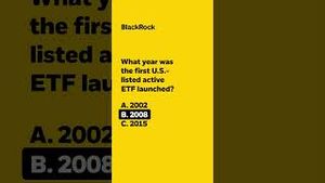 Video post by @blackrock on YouTube