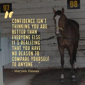 Image post by @thestableinfluencenz on Facebook