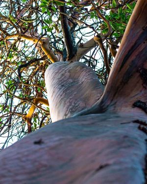 Image post by @crawmedia on Instagram