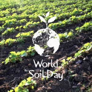 Image post by @GreenhillWormFarm on Facebook