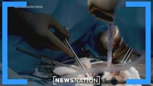 Video post by @newsnation on YouTube