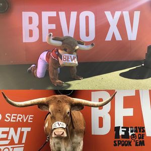 Image post by @utexasspirit on Instagram