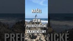 Video post by @jonasederfishing on YouTube