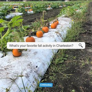 Image post by @chstoday on Instagram